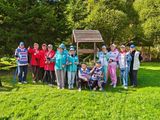 10 000 шагов к здоровью