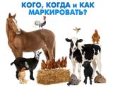Не успели до 1 сентября? Без паники! Читайте внимательно.